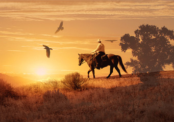 A cowboy on his horse with crows flying above.  A cowboy takes a look to his right and see three large crows flying towards him.