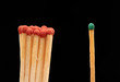 © IntelWond - Group of red wooden matches standing with green match