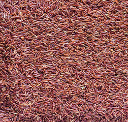 Organic Brown Rice