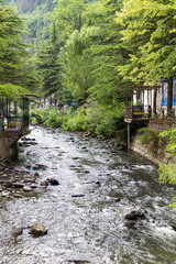 Wall Mural - Borjomi River. Republic of Georgia