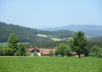 Wall Mural - Gebäude bei Viechtach