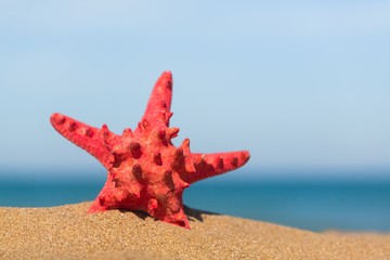 Sticker - Sand, stars, beach.