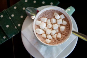 Cup of hot chocolate cocoa drink with marshmallows