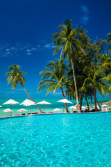 Wall Mural - large infinity swimming pool on the beach with palm trees