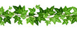 Horizontal seamless garland with ivy leaves. Vector illustration