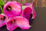 Calla lilly