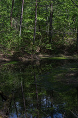  View of Goshiki-numa lake, Fukushima Prefecture, Japan