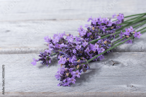 Obraz w ramie Bouquet of purple lavenders against wooden background