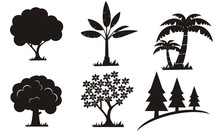 Various Of Vector Tree Silhouettes In Dark Black Color