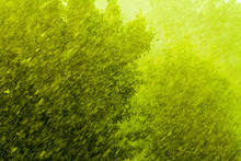 Rainy Outside Window Green Background Texture.
