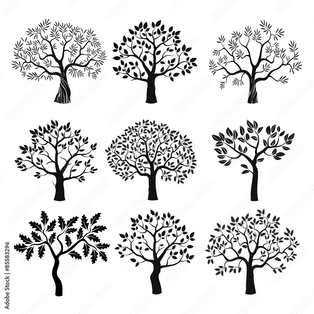 Set of black vector trees. - obrazy, fototapety, plakaty 