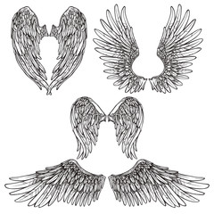 Poster - Wings Sketch Set