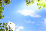 Fototapeta Las - Blue sky with green leaves frame background.