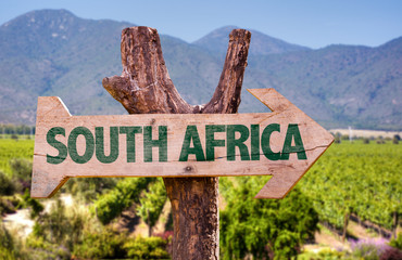 South Africa wooden sign with vineyard background