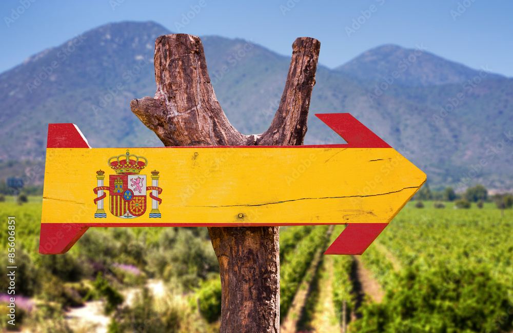 Spain Flag wooden sign with vineyard background - obrazy, fototapety, plakaty 