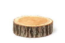 Cross Section Of Tree Trunk On White Background