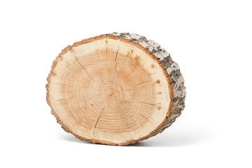 Wall Mural - Cross section of tree trunk on white background