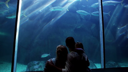 Wall Mural - Happy family looking at fish 