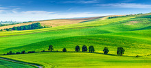 Rolling landscape of South Moravia with trees.