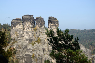 Canvas Print - Elbsandsteingebirge
