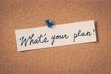 Wall Mural - What's your plan