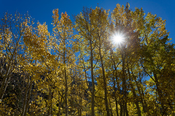 Obraz na płótnie jesień ameryka słońce