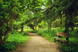 canvas print picture - Footpath on the park