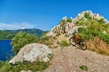 orange bicycle near rocks by sea