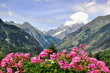 Flowers and mountains