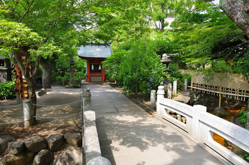 Wall Mural - 日本 神戸三宮の生田神社