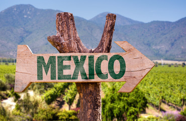 Wall Mural - Mexico Flag wooden sign with winery background