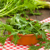 Fototapeta Kuchnia - Green rucola salad in rustic bowl 