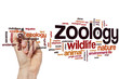 Zoology word cloud