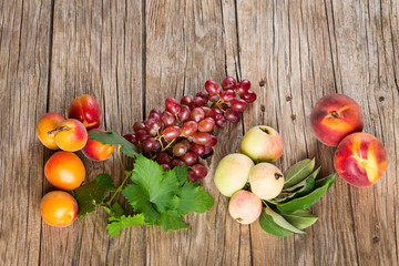 Wall Mural - Variation of fresh fruits, top view