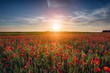 © Helen Hotson - Sunset over Poppy Field