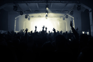 Wall Mural - cheering crowd on the rock concert