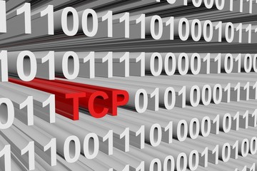 Wall Mural - binary code transmission control protocol