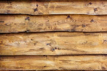 Wall Mural - wood