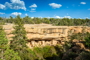 Wall Mural - Cliff dwellings in Mesa Verde National Parks, CO, USA