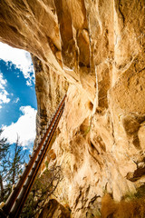 Wall Mural - Cliff dwellings in Mesa Verde National Parks, CO, USA