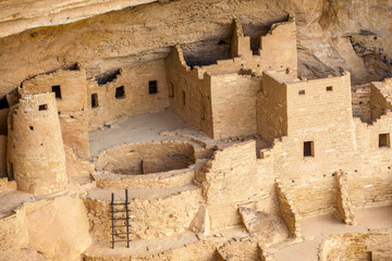 Wall Mural - Cliff dwellings in Mesa Verde National Parks, CO, USA