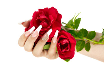 Wall Mural - Hand with french manicure holding a red rose flower