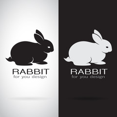 Wall Mural - Vector image of a rabbit design on white background and black ba