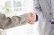 © WavebreakmediaMicro - Businesswoman shaking hands with a businessman