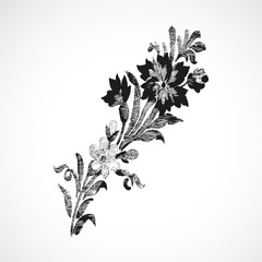 Wall Mural - Branch with flowers on the diagonal, vintage isolated background vector illustration realistic sketch