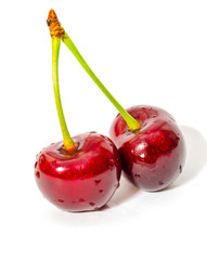 cherry