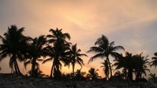 Time Lapse Footage Of Sunset Sky With Palm Tree Silhouette In Mexican Caribbean