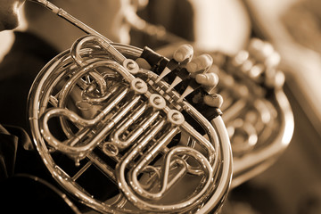 french horn in the hands of the musician