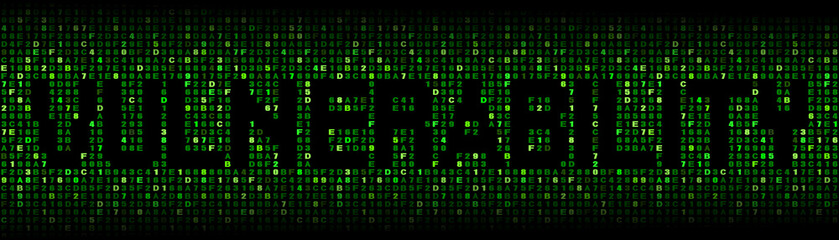 vulnerability text on hex code illustration