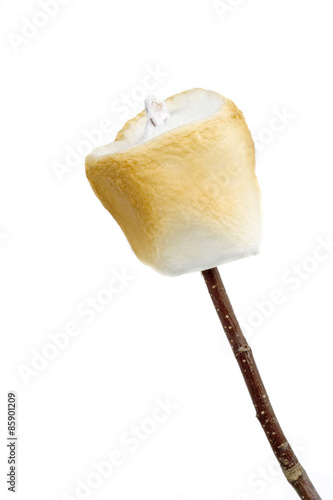 Toasted Marshmallow on a Stick – Isolated on a white background with a  clipping path. Stock Photo | Adobe Stock